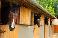 free Brookeborough stable construction quotes